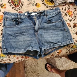PacSun Denim Shorts (31)